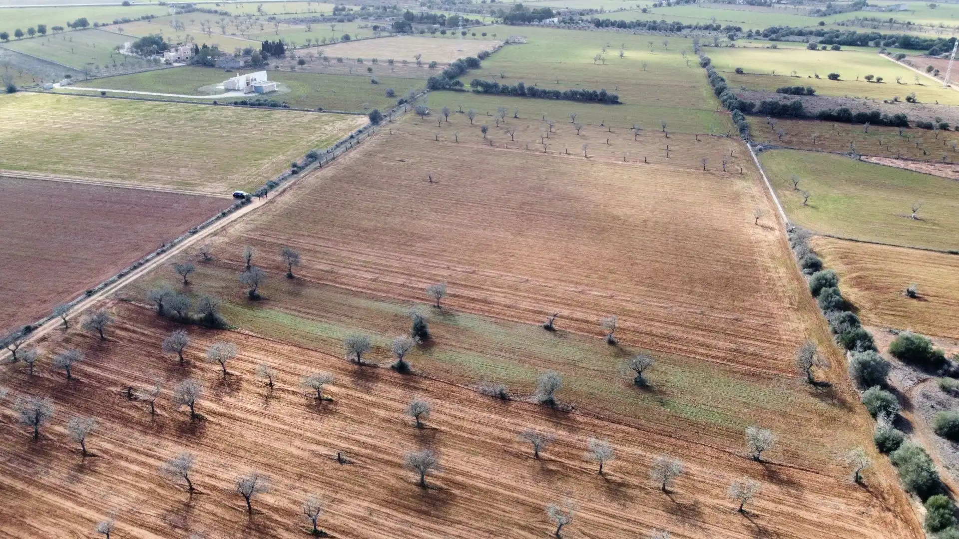 Lands and plots for sale in SA SERRA, imagen 5