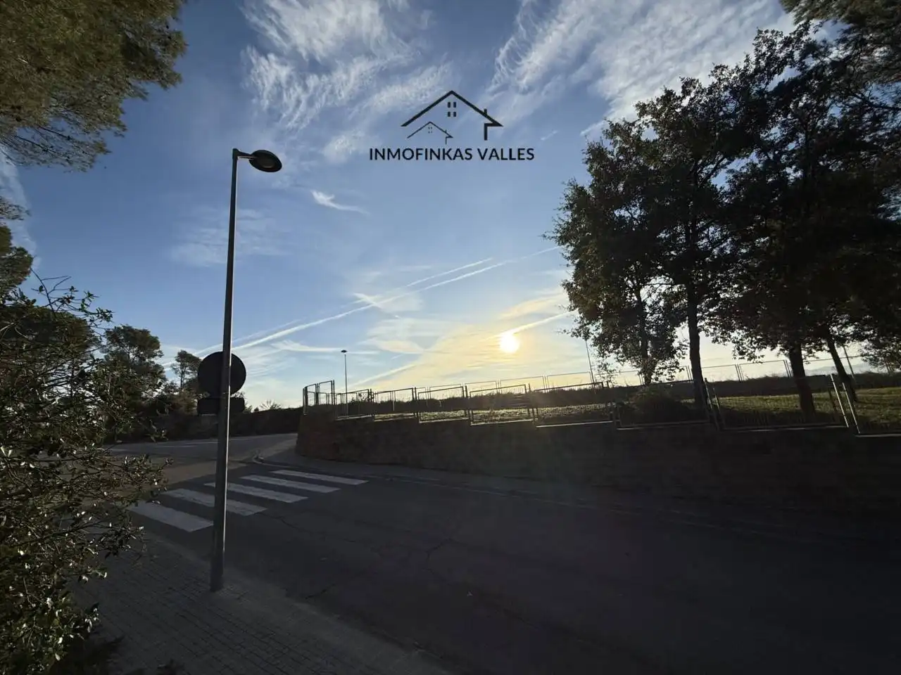 Terreno rústico en venta en Calle Cedro 4, imagen 14