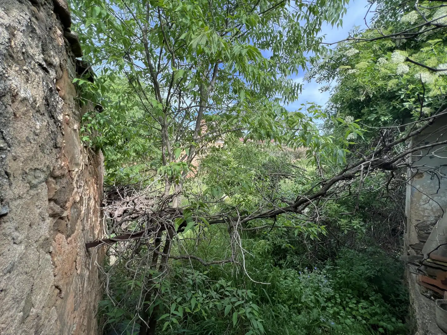 Wohnbaugrundstück zum Verkauf in Mestre Antoni Vicent, imagen 14