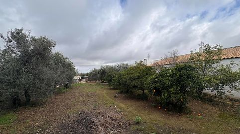 EXCLUSIVIDAD...!!! 1446- SE VENDE PARCELA RUSTICA ZONA CERRO PEREA...!!!!, imatge 4