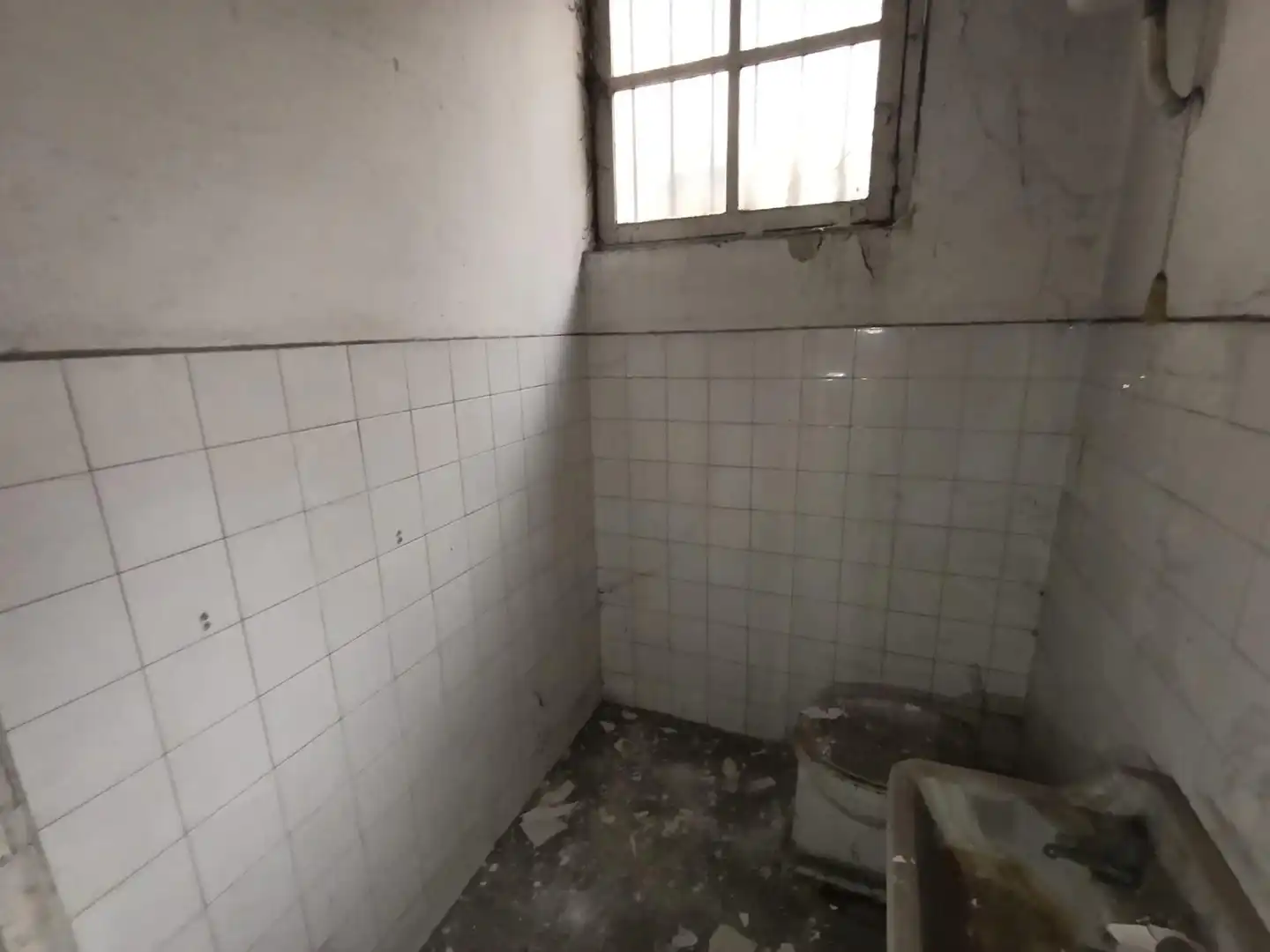 Local comercial en venta en ANTONIO LUCIO VILLEGAS, imagen 12