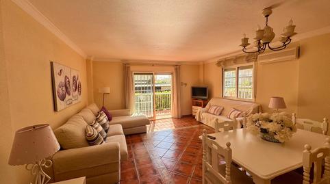 Photo 4 of Planta baja for sale in Playa de Gandia, Gandia