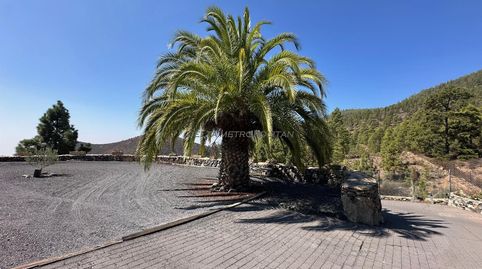 Foto 5 de Finca rústica en venda a Cruz de Tea, Granadilla de Abona