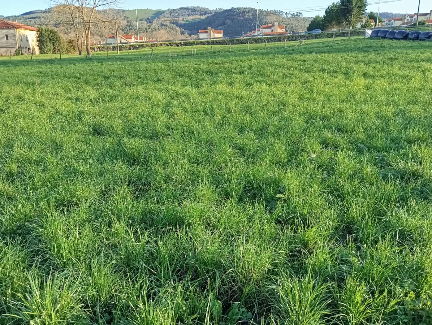 Terreni e lotti in vendita a Hazas de Cestoi 128