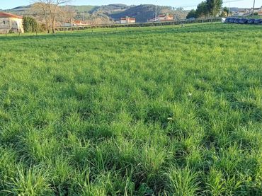Terrenys i solars en venda a Hazas de Cestoi 128
