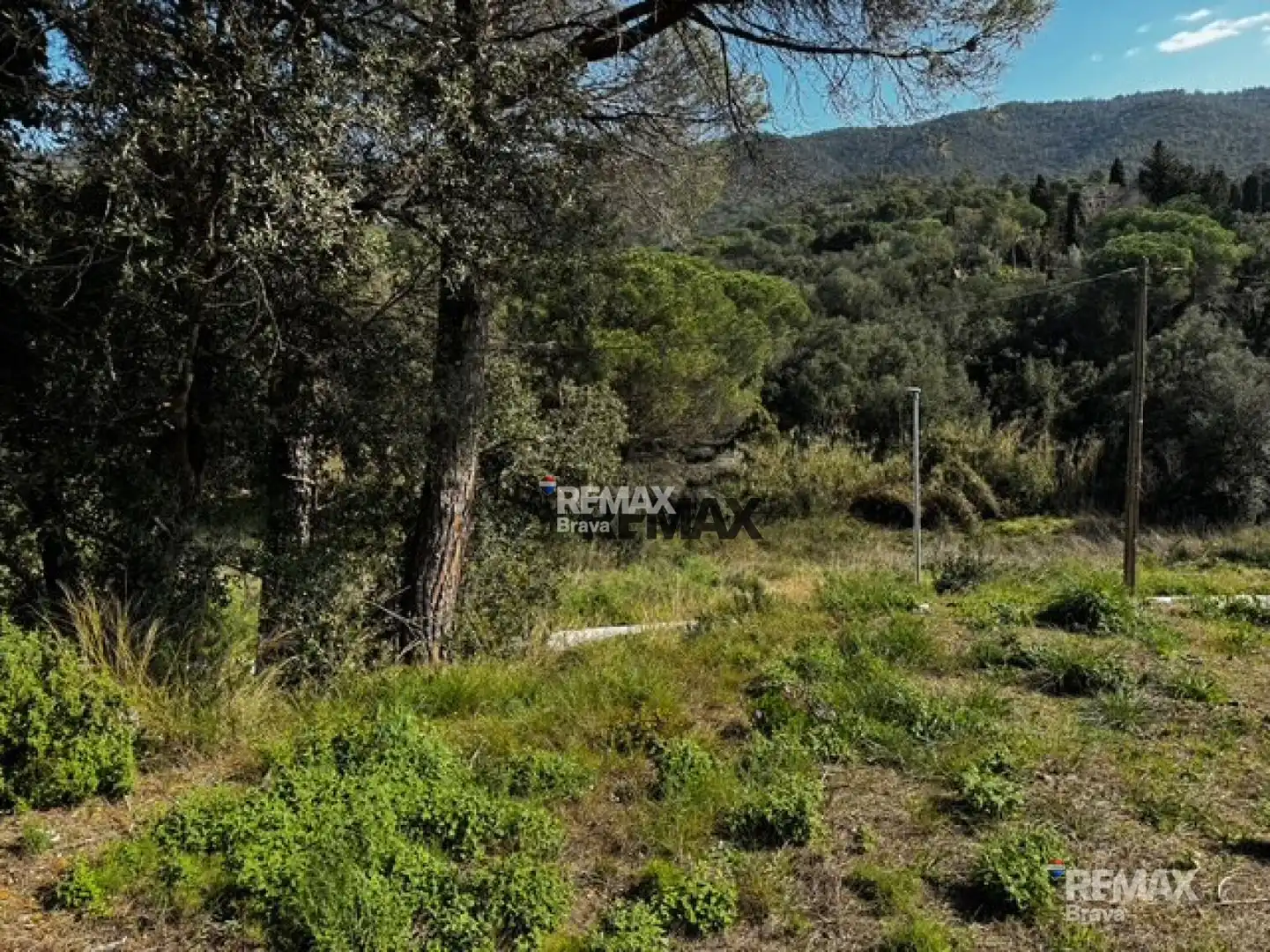 Terrenys i solars en venda a Calle CL HORT VELL, imagen 17