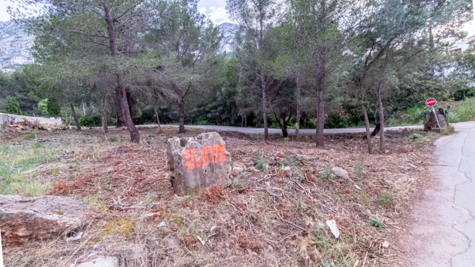 Terreny residencial en venda a El Montgó, imagen 5