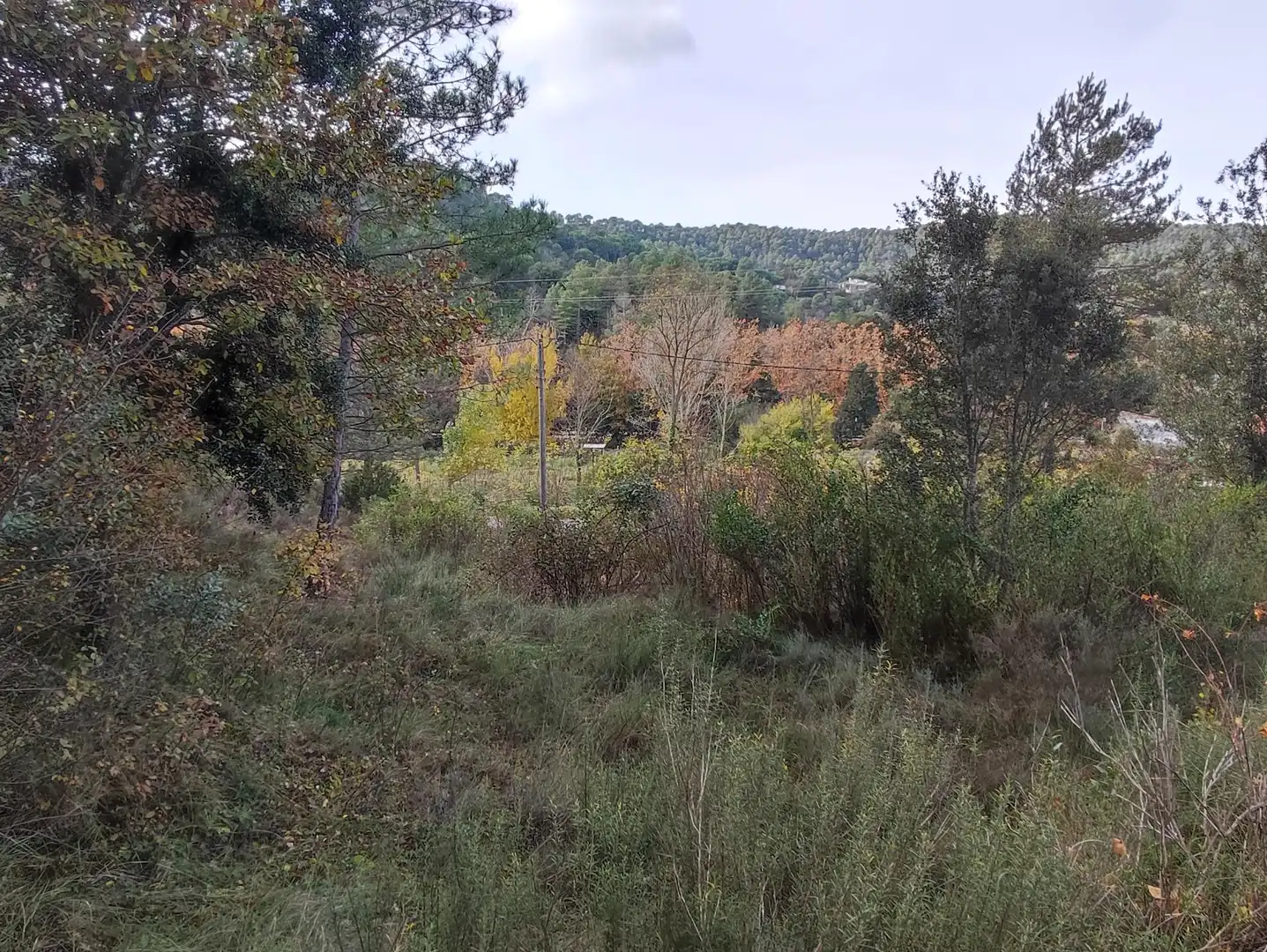 Terrain rustique à vendre à Monistrol de Calders, imagen 23