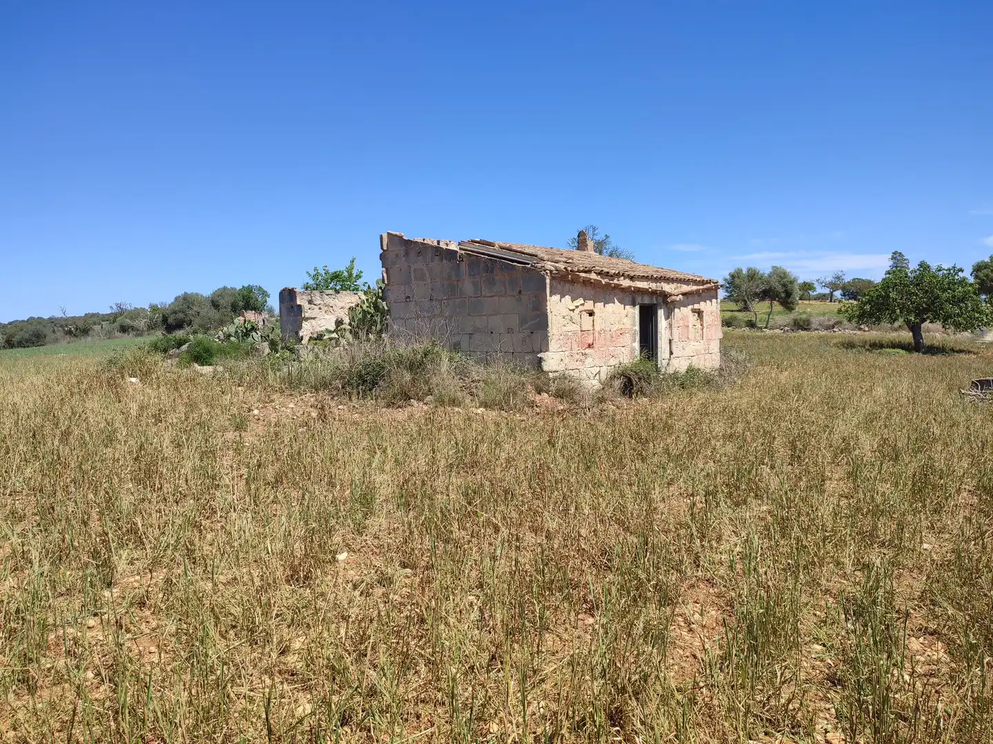 Rural land for sale in Vilafranca de Bonany