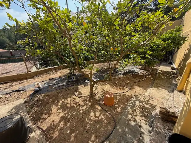 Jardín de Casa o chalet en venta en Alzira con Aire acondicionado, Jardín privado y Terraza