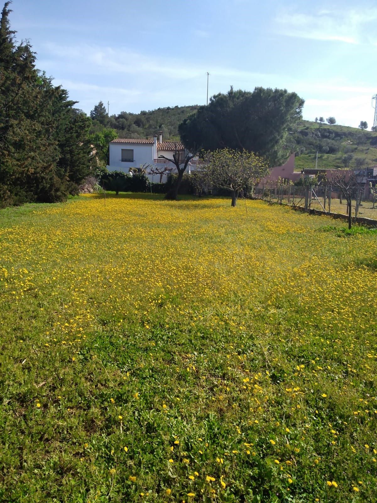 Casa o xalet en venda en Vilajuïga amb Calefacció i Terrassa