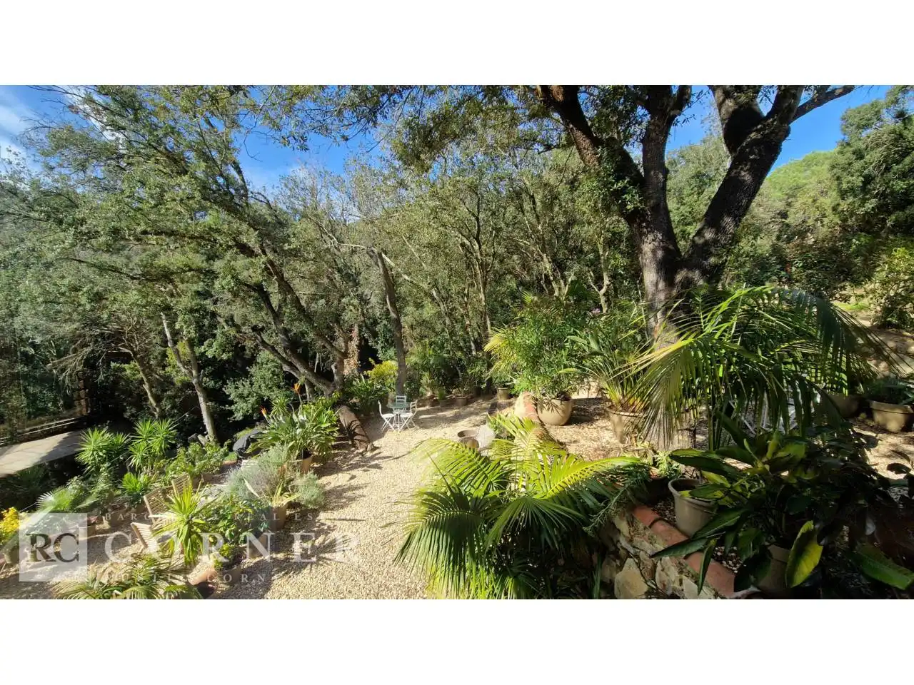 Jardín de Finca rústica en venta en Dosrius poble