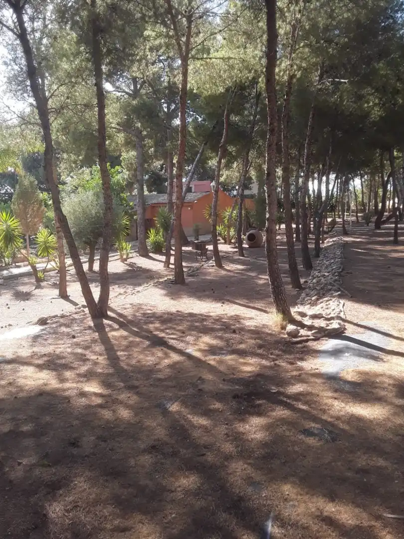 Jardín de Finca rústica en venta en Agost con Jardín privado, Terraza y Trastero