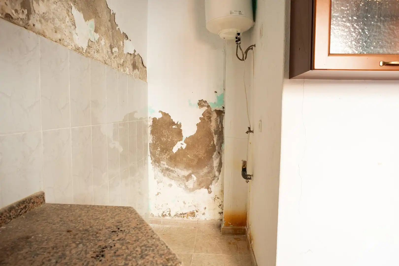 Bathroom of Houses for sale in Ingenio
