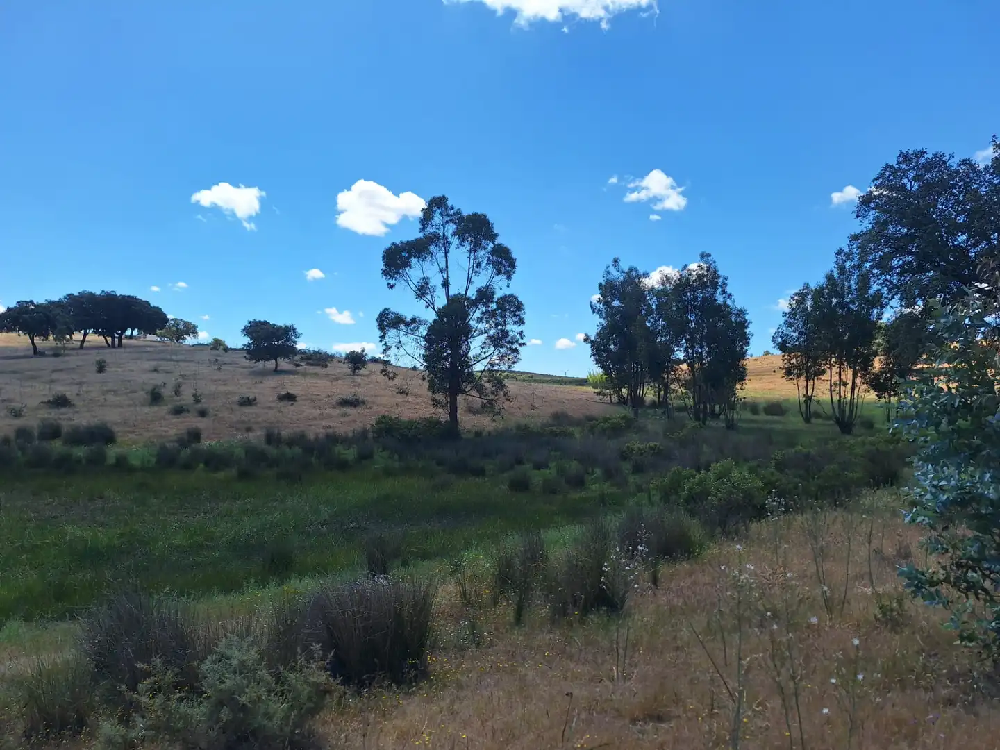 Terreno en venta en Calle Colon, 15, Tharsis
