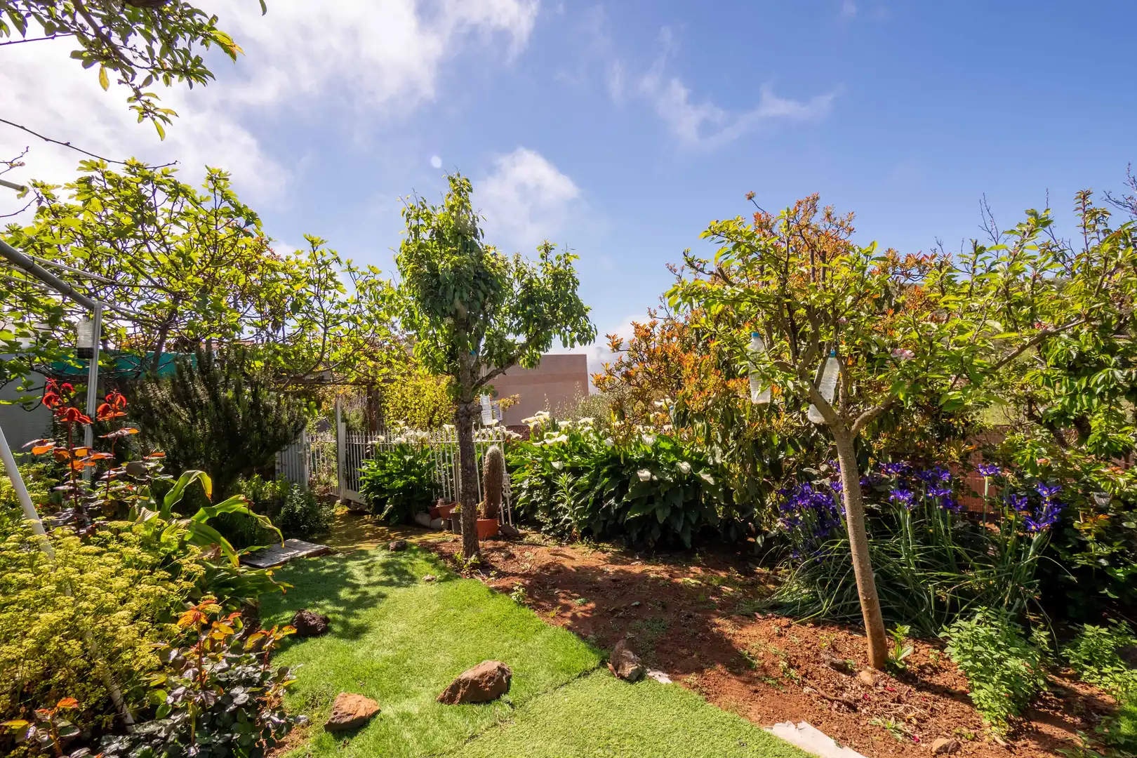 Jardí de Casa o xalet en venda en Vega de San Mateo amb Calefacció, Jardí privat i Terrassa