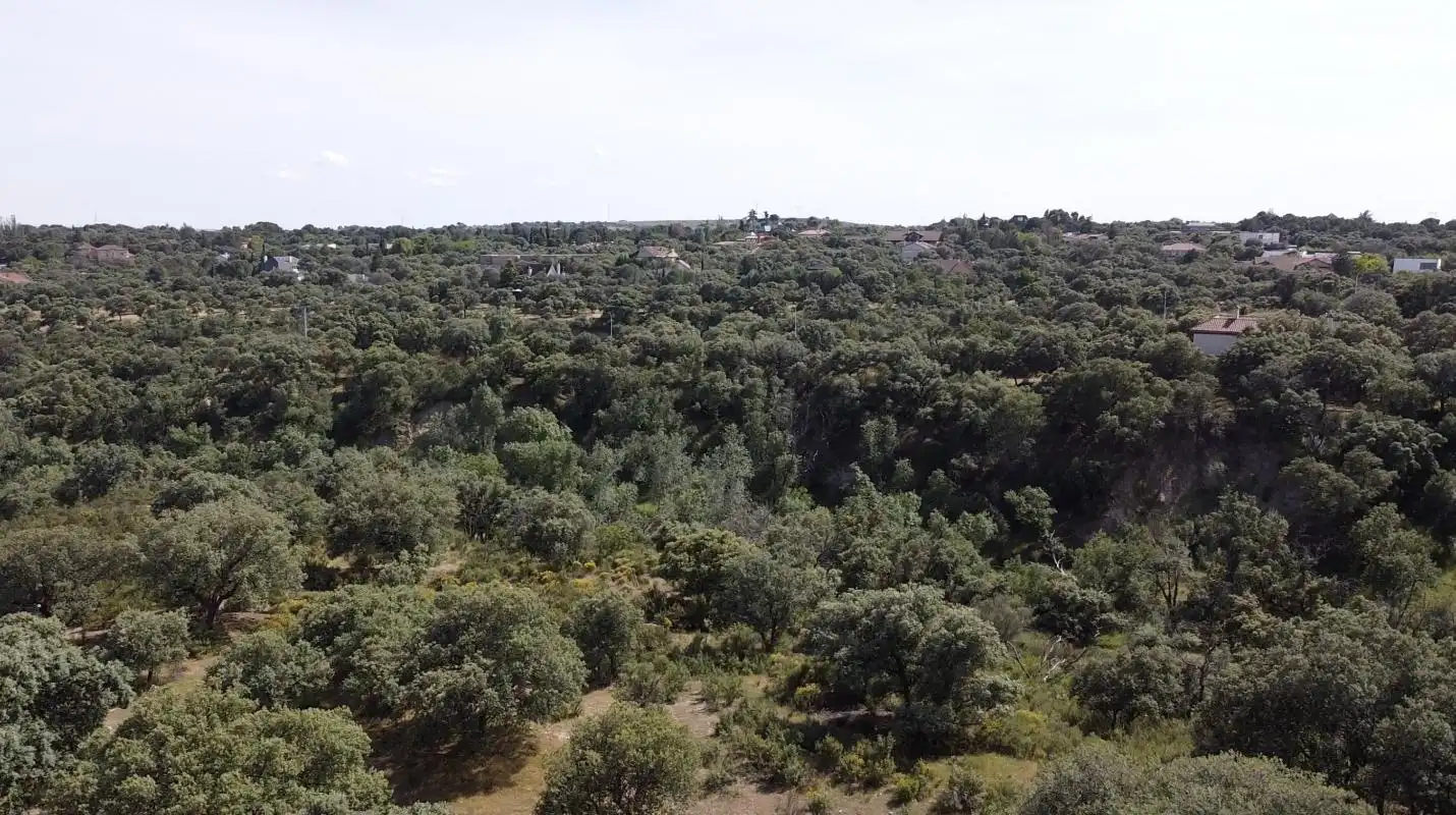 Casa o chalet en venta en Villanueva de la Cañada con Calefacción, Jardín privado y Terraza