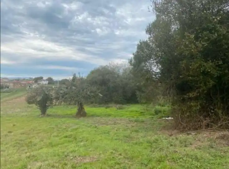 Terreni e lotti in vendita a A Merca, imagen 6