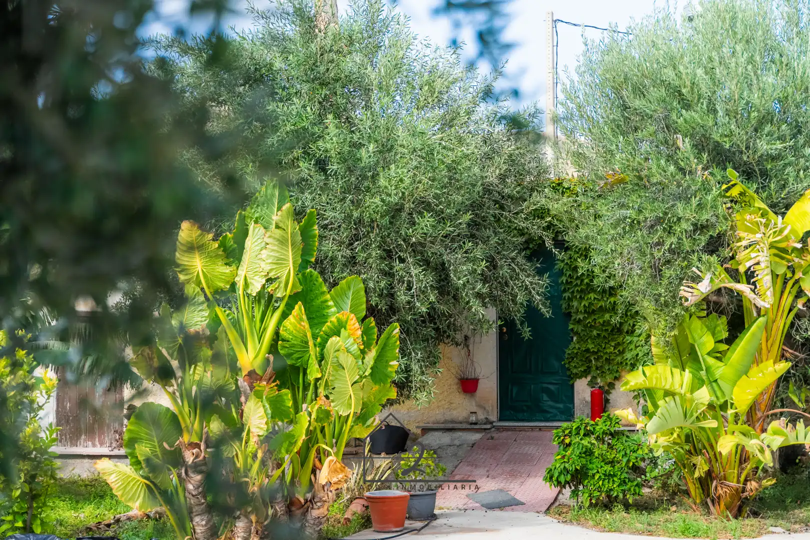Garden of Land for sale in Vícar