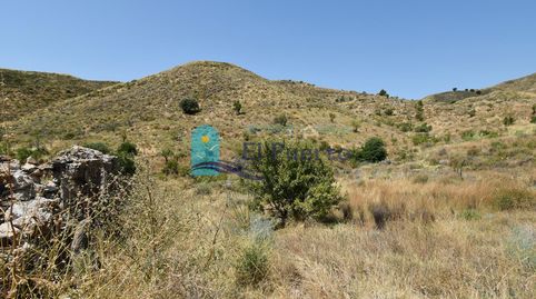 Foto 4 de Finca rústica en venta en Morata, Lorca