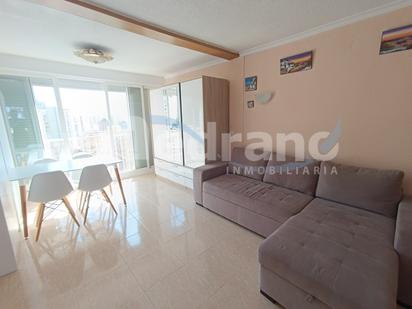 Living room of Study for sale in Benidorm  with Swimming Pool