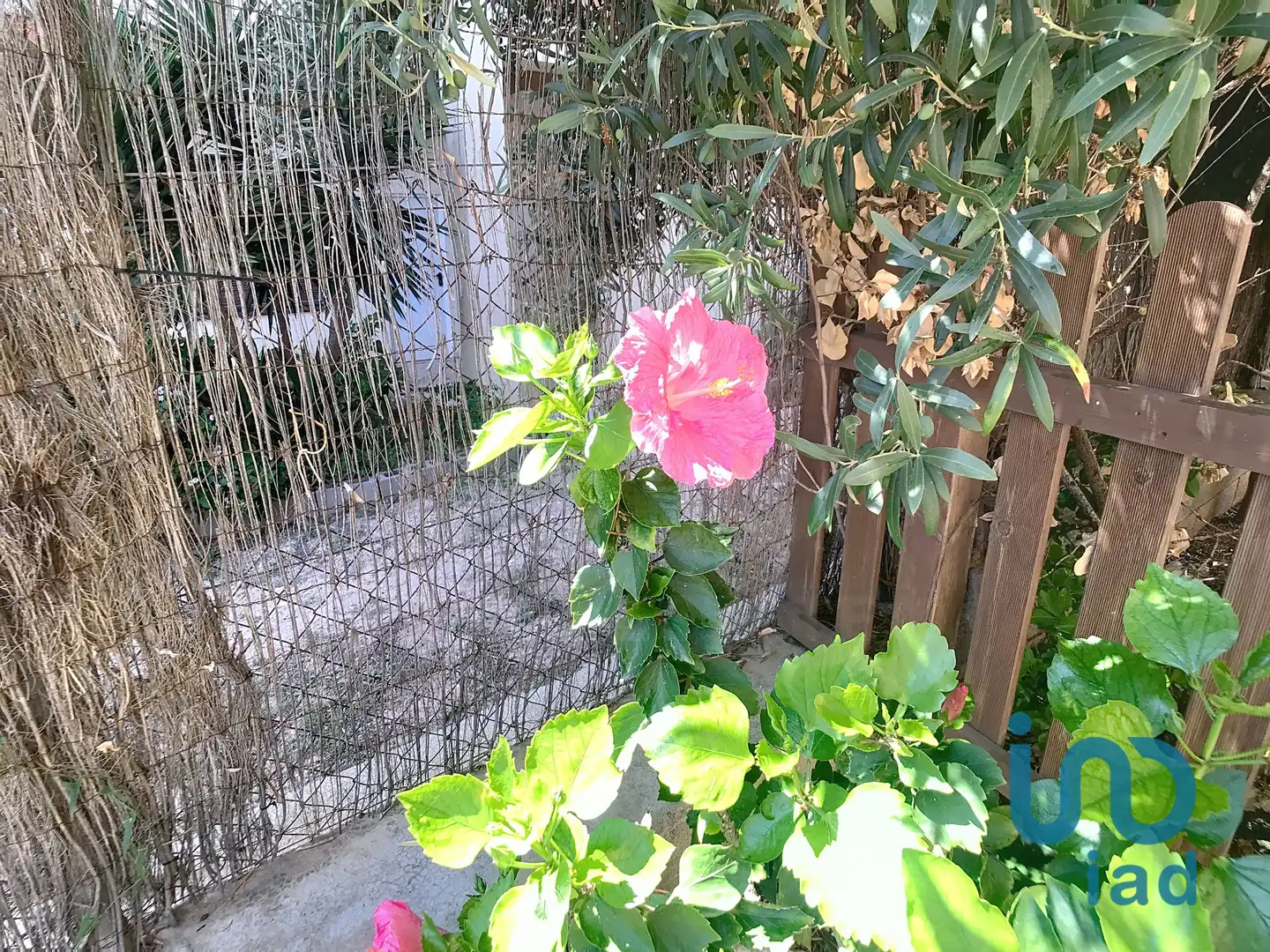 Casa aparellada en venda a Roda de Barà, imagen 16