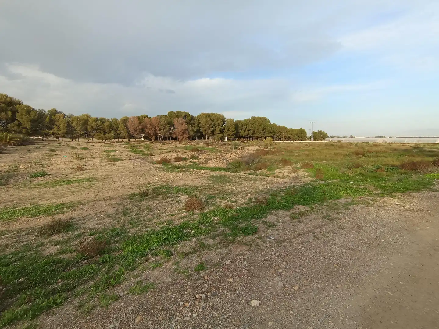 Terreny rústic en venda a Puerto Lumbreras, imagen 6