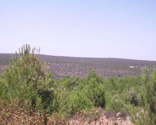 Finca rústica en venda en Arahuetes