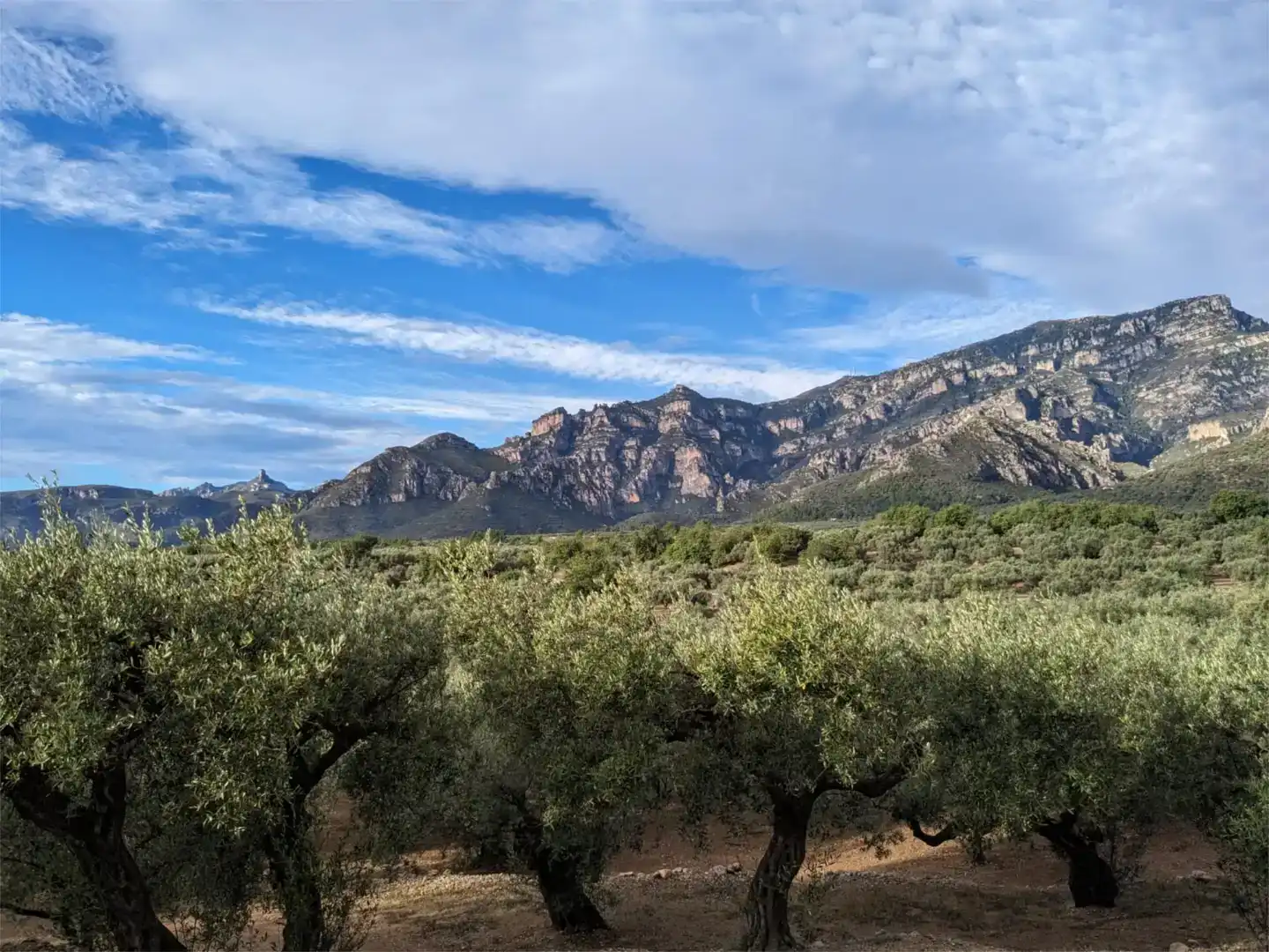 Vista exterior de Finca rústica en venda en Tortosa