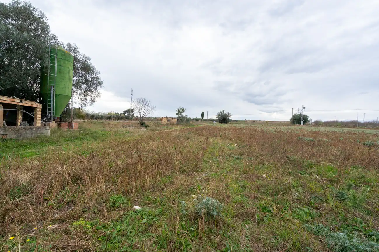 Rural land for sale in Ulldecona, imagen 12