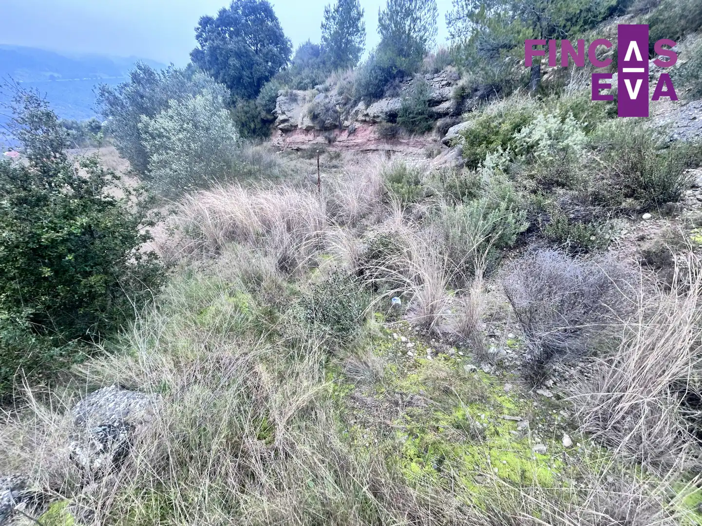 Terreny rústic en venda a Pont de Vilomara i Rocafort El - UR MARQUET CARRER 14 663, imagen 4
