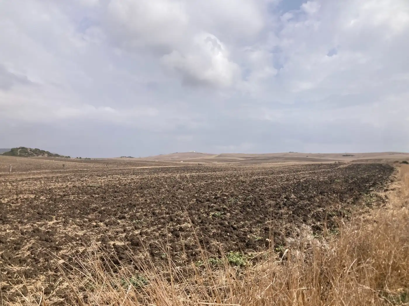 Terreni e lotti in vendita a Carretera vejer- el palmar, imagen 3