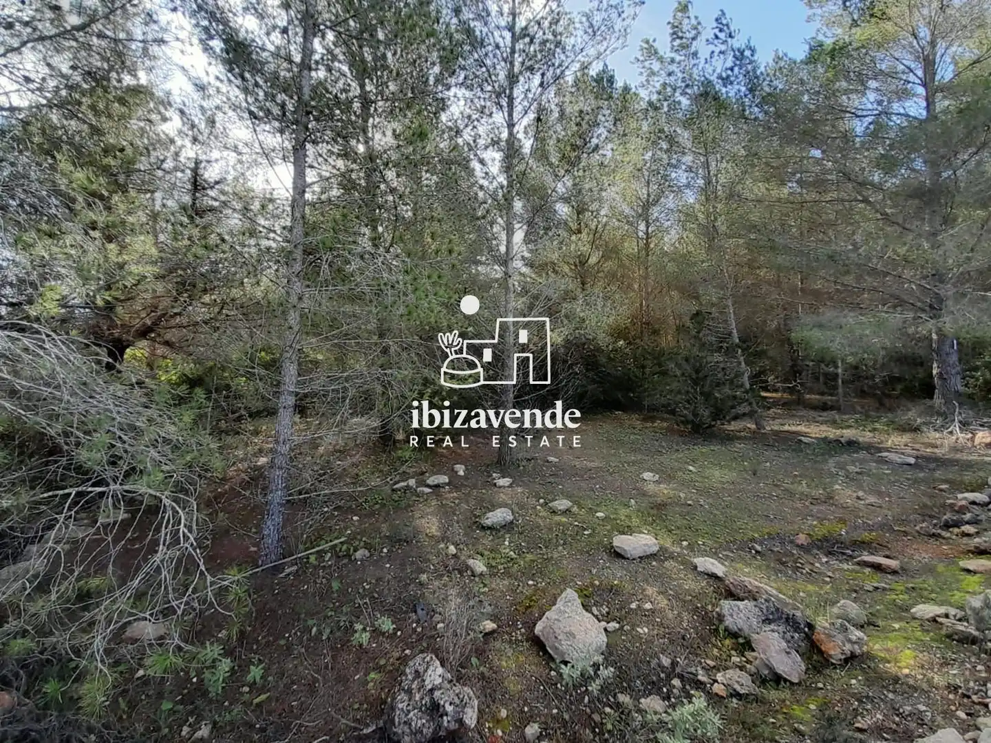 Residential land for sale in Sant Joan de Labritja, imagen 12