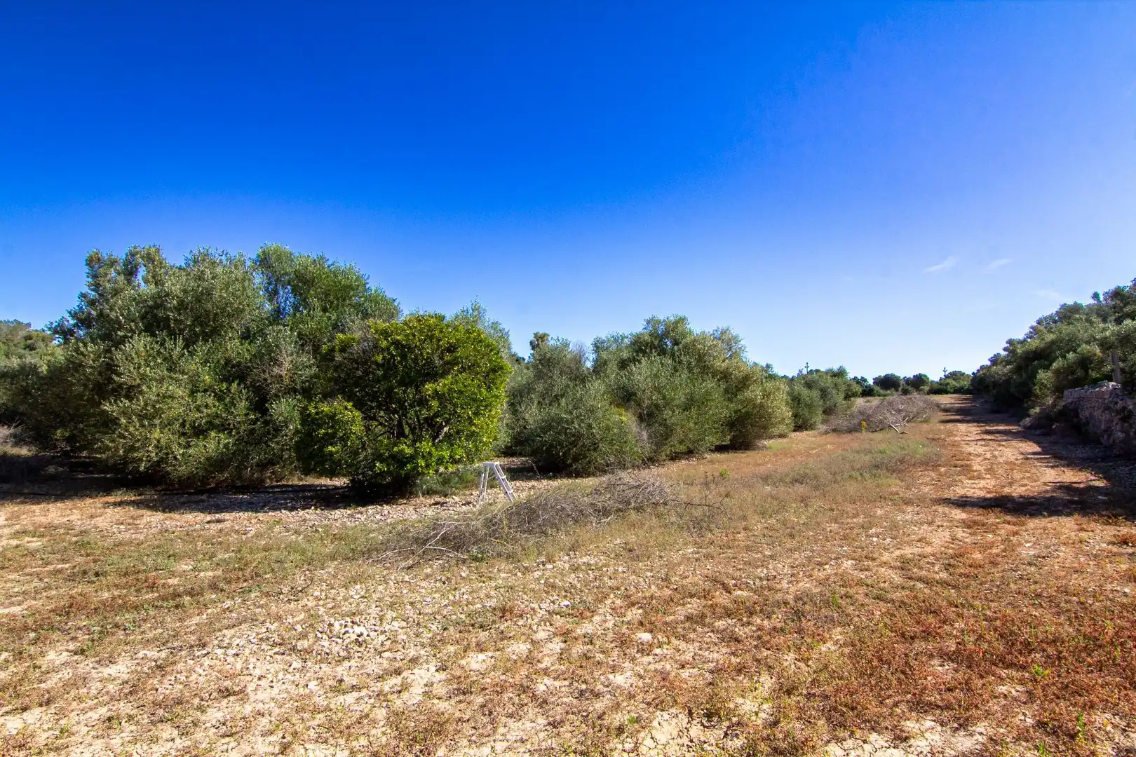 Casa rústica en venda a Porreres a Sant Joan, imagen 45