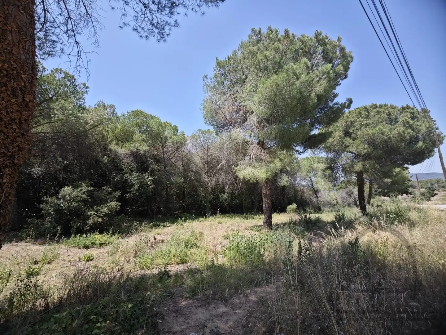 Terrenys i solars en venda a CASTELL DE MONTBUI, imagen 2