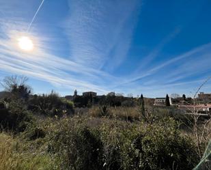 Vista exterior de Planta baixa en venda en Sant Mori amb Jardí privat