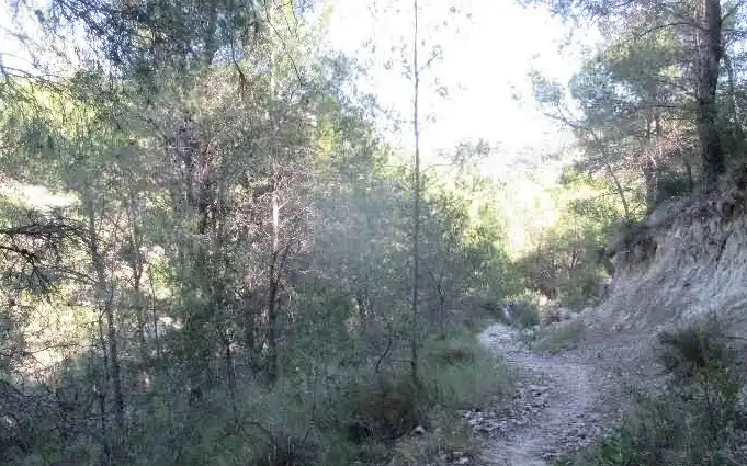 Rural land for sale in Pt Paraje Antón, imagen 7