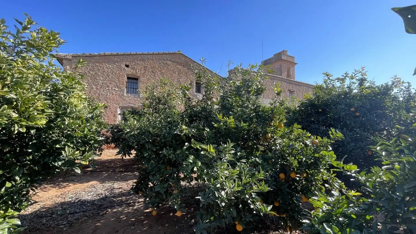 Maison rustique avec terrasse à vendre à Guadassuar, imagen 7