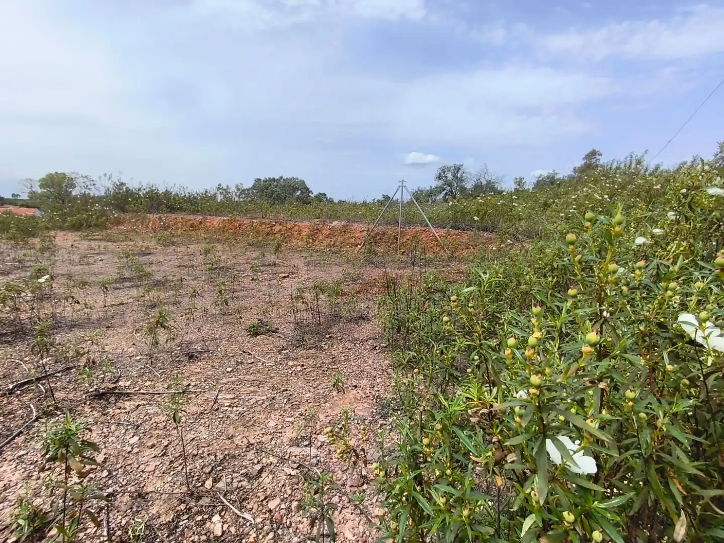 Rural land for sale in Los Lagos, imagen 4