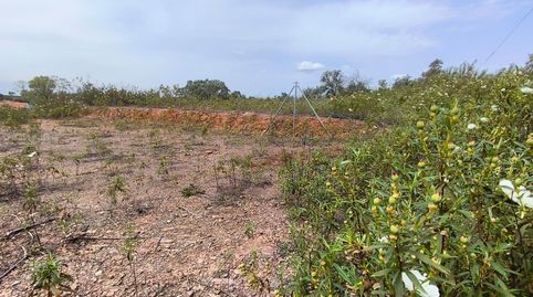 Foto 4 de Residencial en venta en Los Lagos, Guillena