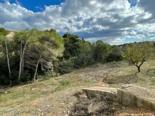 Terreno residencial en venta en La Fustera, imagen 3