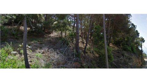 Parcela, Lloret de Mar, 2.663,50m2, vistas al mar, imatge 3