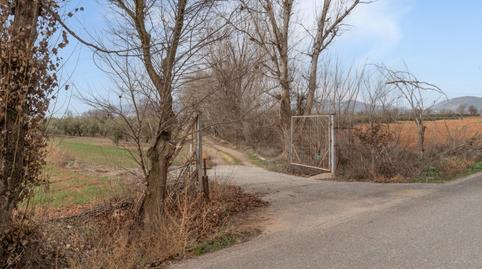 Foto 5 de Terreno en venta en  Polígono 23 Parcela 63 la Zanja. Albolote (granad, 23, Albolote, Granada
