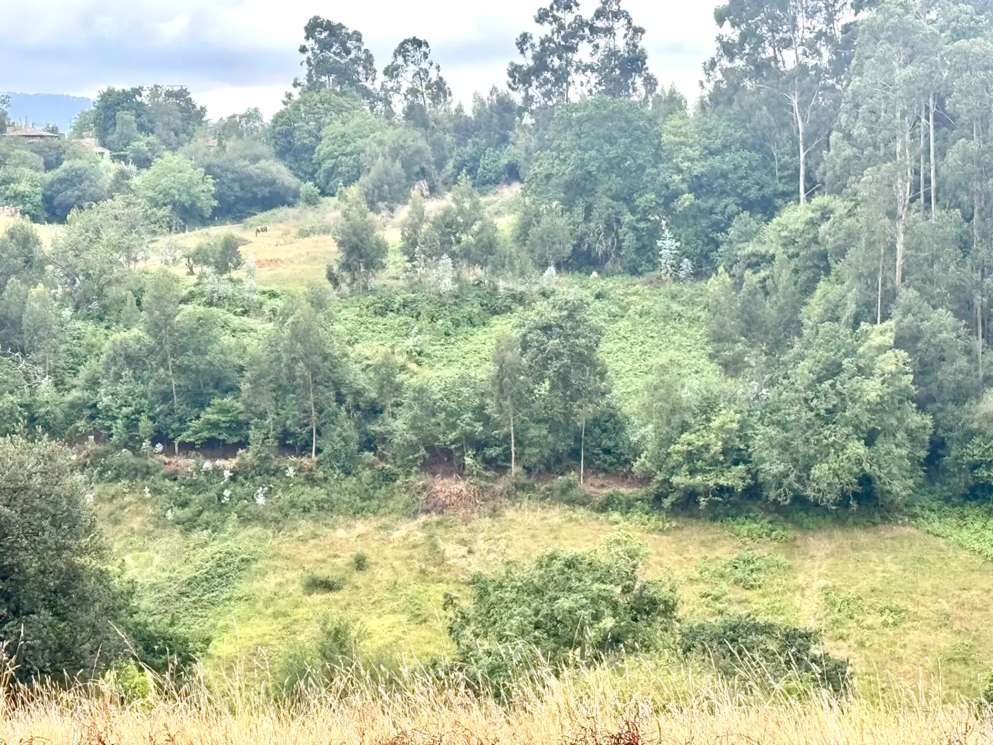 Terreno en venta en Villaviciosa