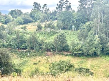 Rural land for sale in Camino del Pereo 7