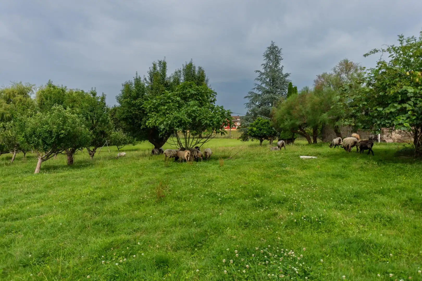 Casa en venta en Villaescusa (Cantabria), imagen 40