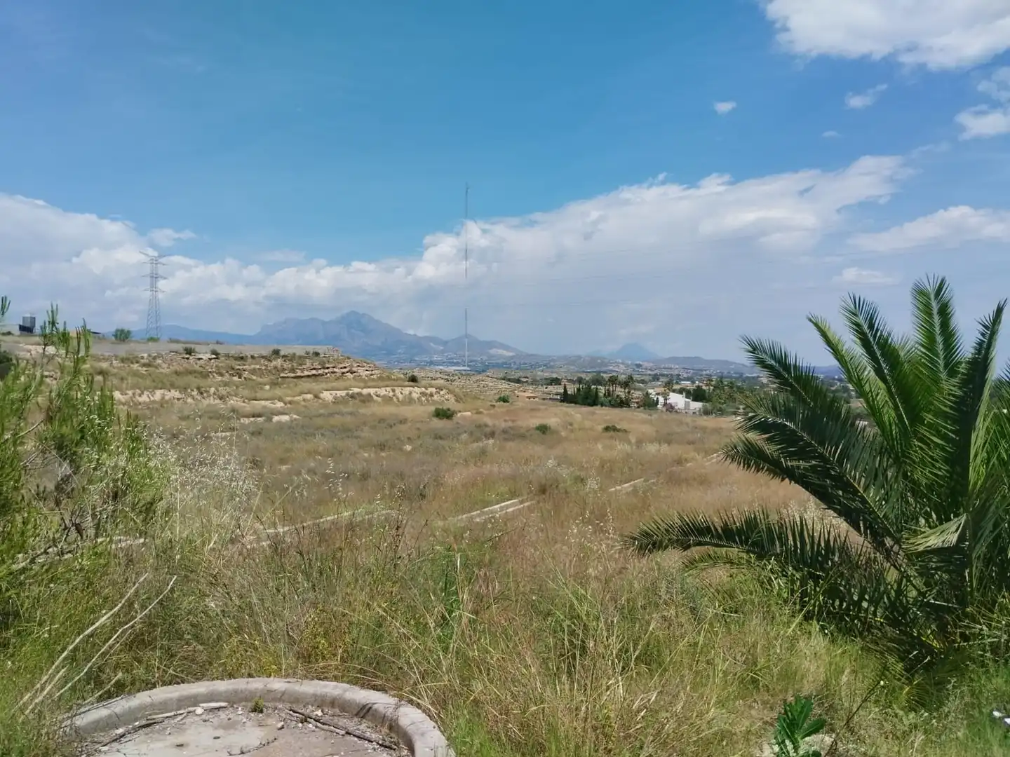 Terreno rústico en venta en Camí de la Esparraguera