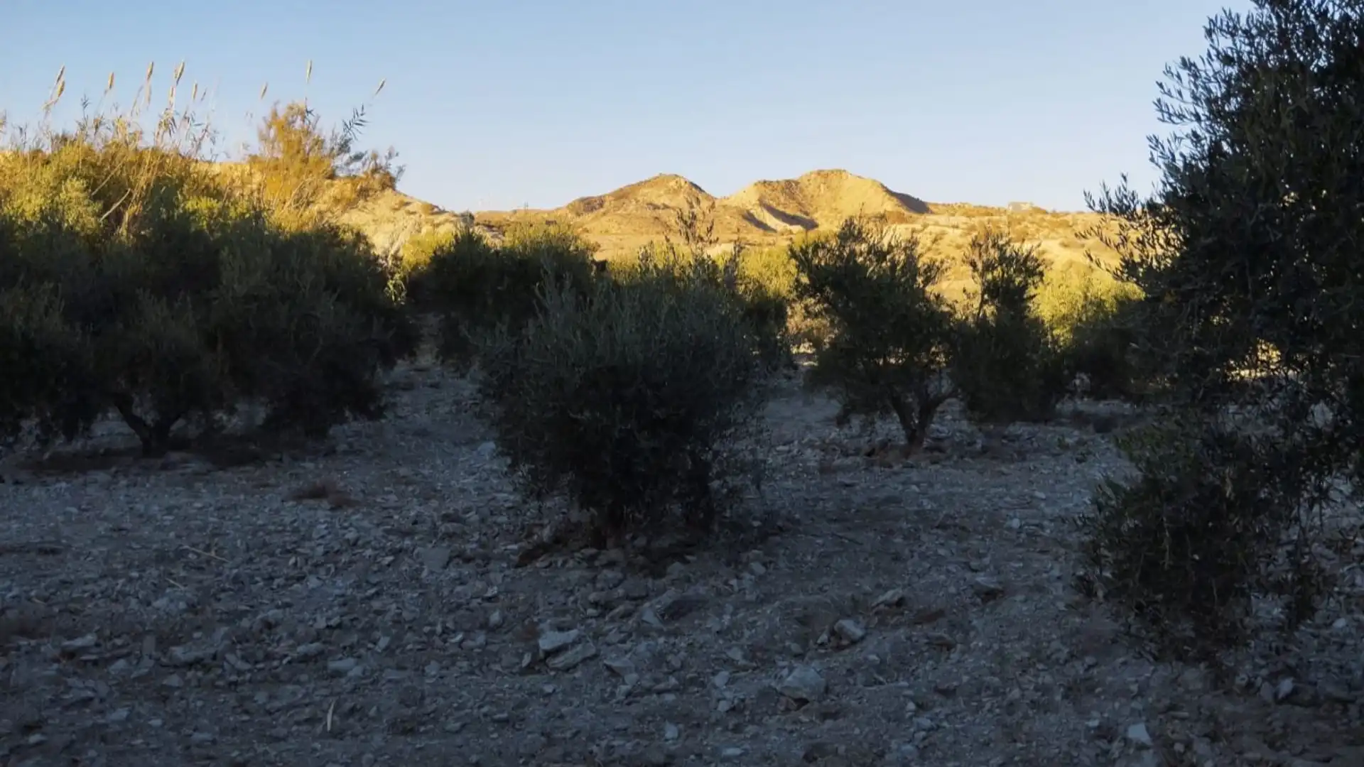 Vista exterior de Terreno en venta en Huércal-Overa