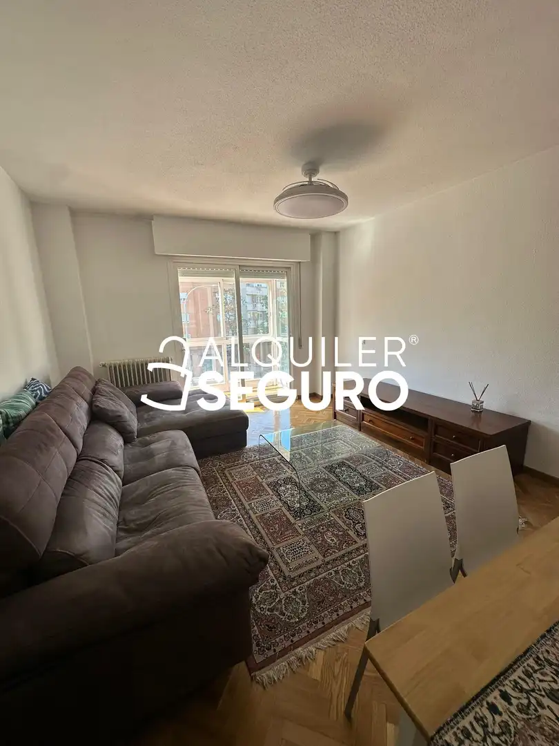 Piso de alquiler en de las Retamas, Prado Santo Domingo - Ensanche