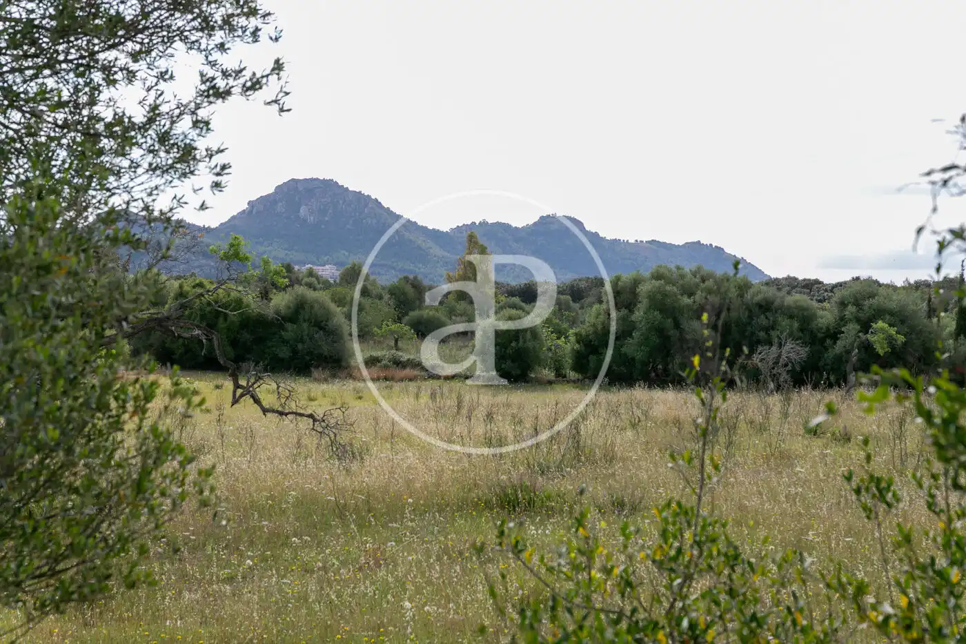 Terreny residencial en venda a Av. Montferrutx, imagen 32